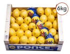 Lemons 6kg