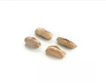 Assorted Mini Rustic Dinner Rolls 40g x 80