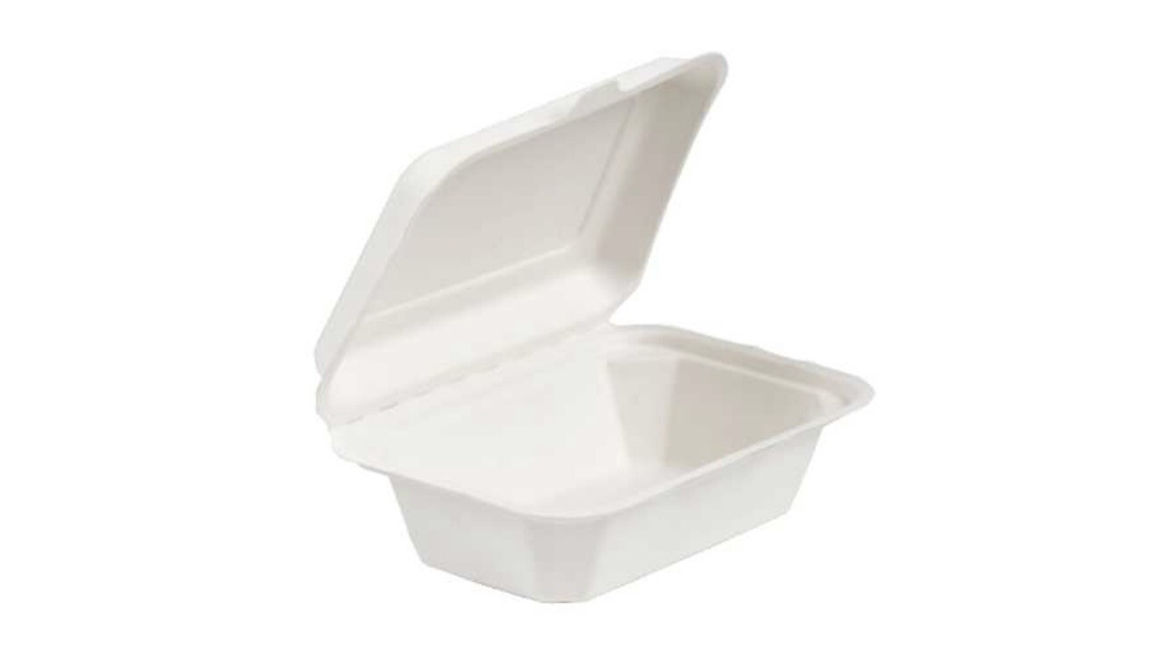 Bagasse Medium Meal Box 18cm x 13cm x 100