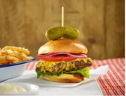 98% Beef Burgers 113g x 48