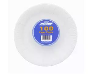 White Paper Plates 100 x 9"