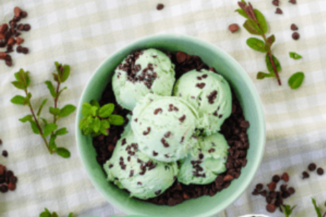Mint Chocolate Chip Ice Cream 5 litre