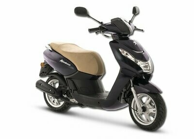 PEUGEOT KISBEE 2014