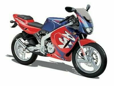 RIEJU RS1 EVOLUTION 2005