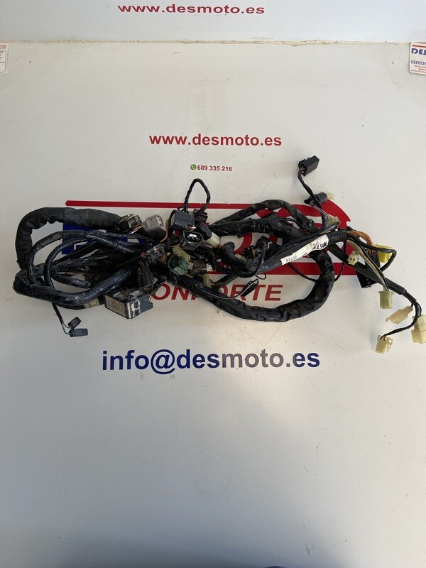 Instalación eléctrica SUZUKI BURMAN 125 2010