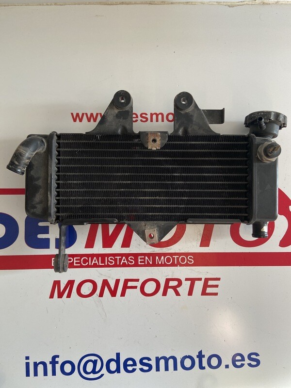 Radiador HONDA VARADERO 125 2004