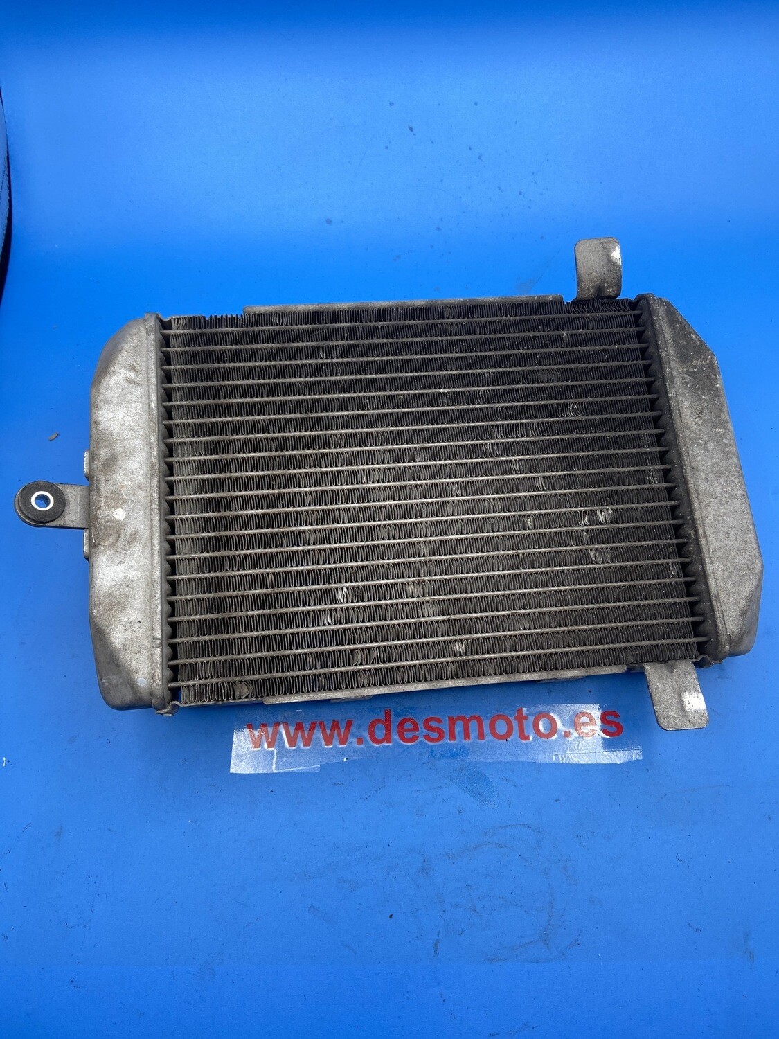 Radiador SUZUKI BURMAN 250 INYECCION 2007
