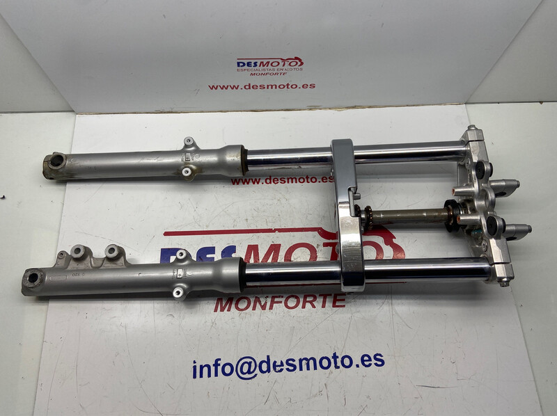 Horquillas completas SUZUKI MARAUDER 250