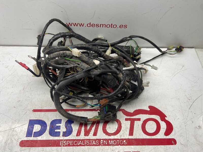 Instalación eléctrica PEUGEOT SATELIS 125 ABS 2013-2018