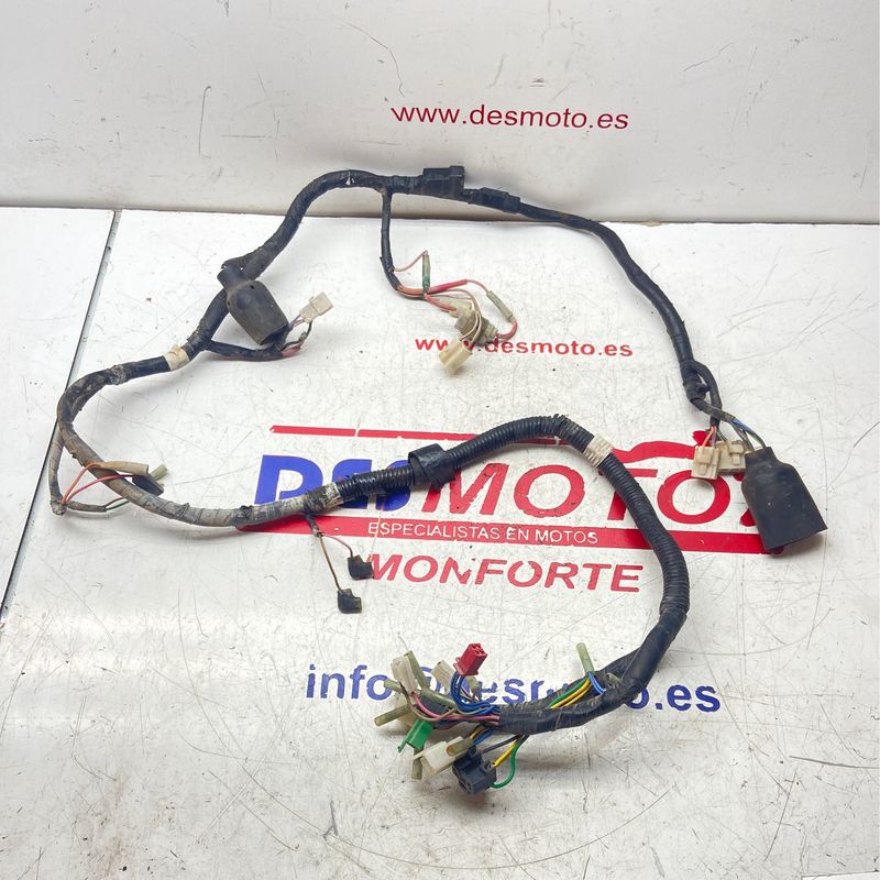 Instalación eléctrica YAMAHA XT 600E 1995-2002