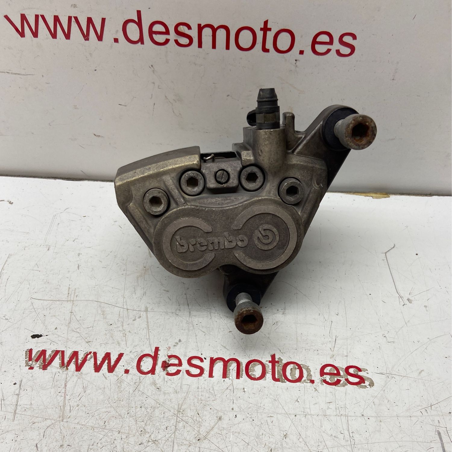 Pinza de freno delantera derecha BMW R 850 RT