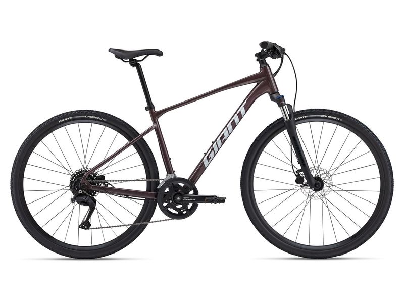 Giant Roam 2 Disc - Large