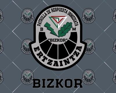 BIZKOR