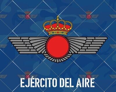 EJÉRCITO DEL AIRE