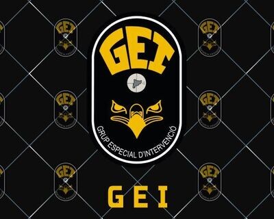 GEI