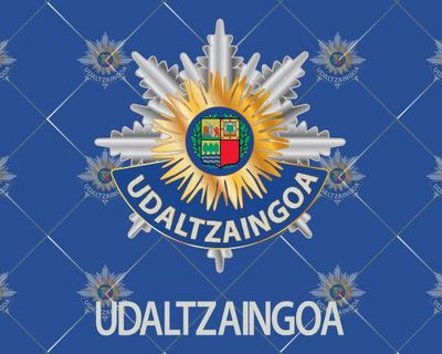 UDALTZAINGOA