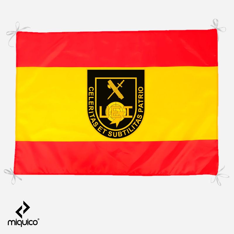 Bandera UEI