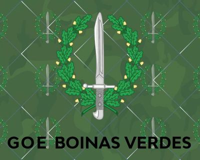 GOE BOINAS VERDES
