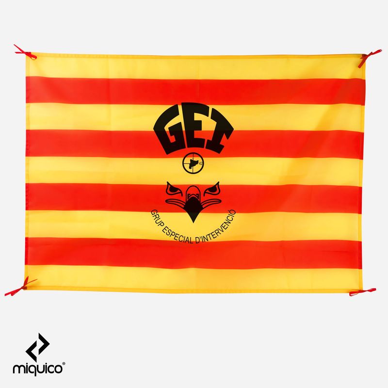 Bandera GEI Bandera GEI