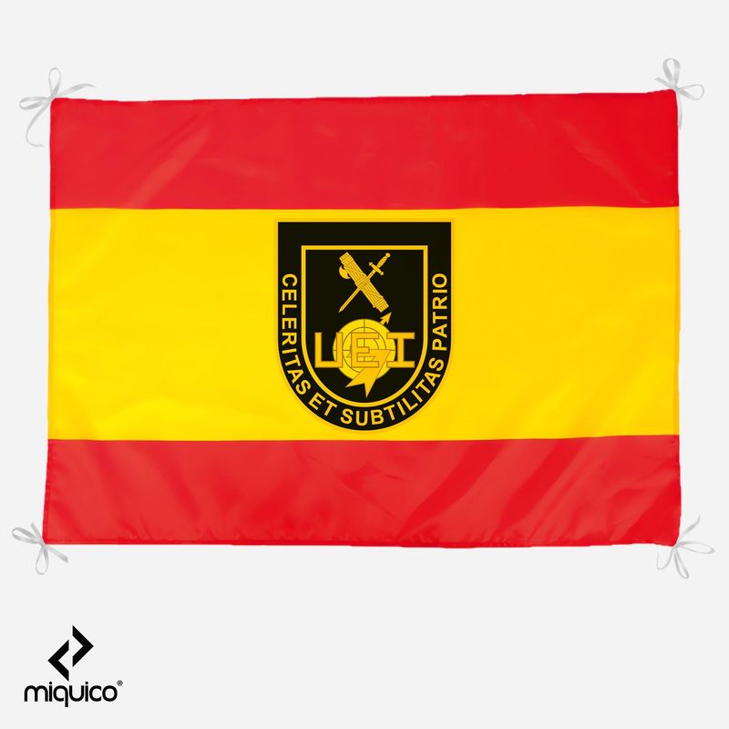 Bandera UEI