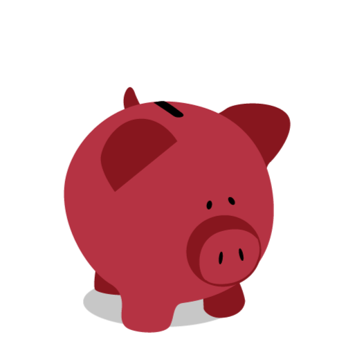 Income Support for one person
