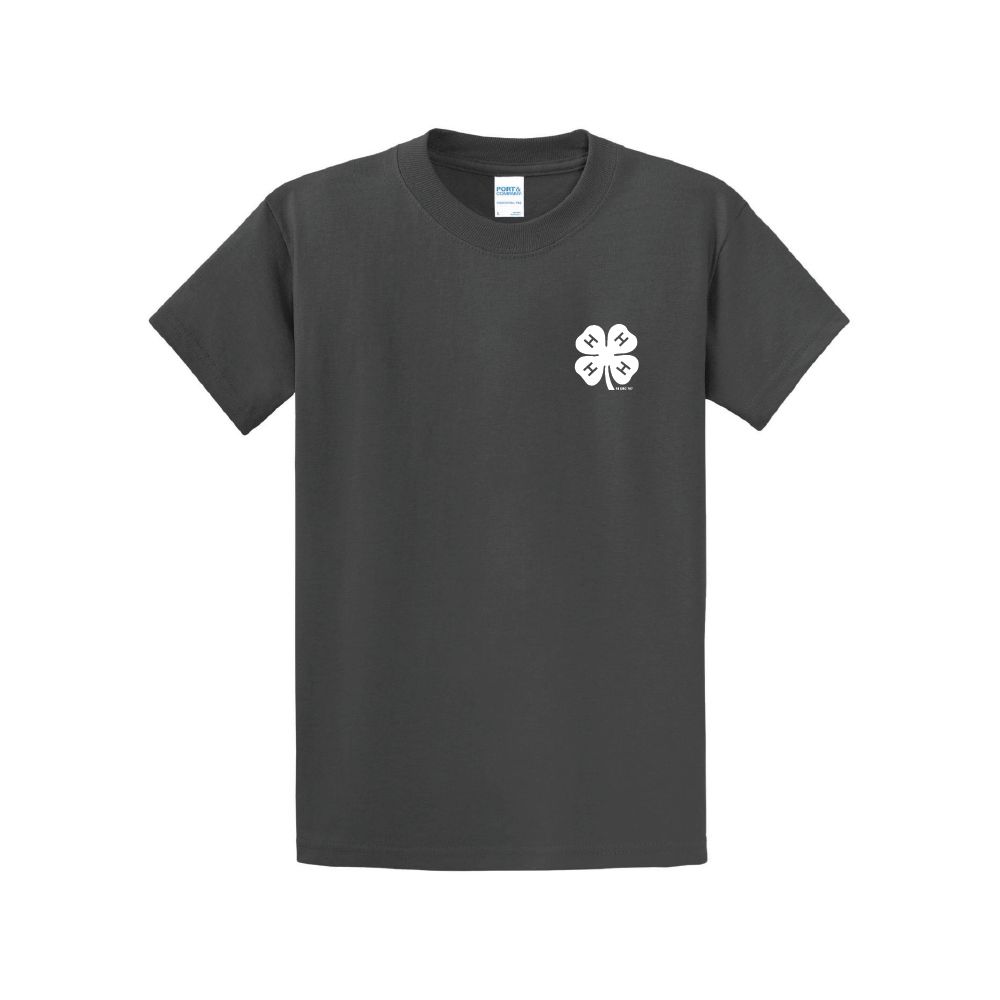 Port &amp; Company Essential Tee