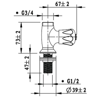 ​Cobra Stella Bib Tap Sink Outlet