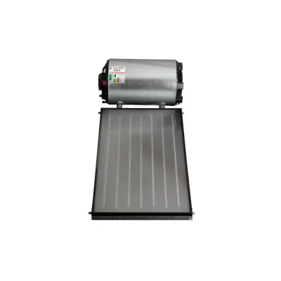 Kwiksol Indirect System 150lt - Frost - w/ Panel
