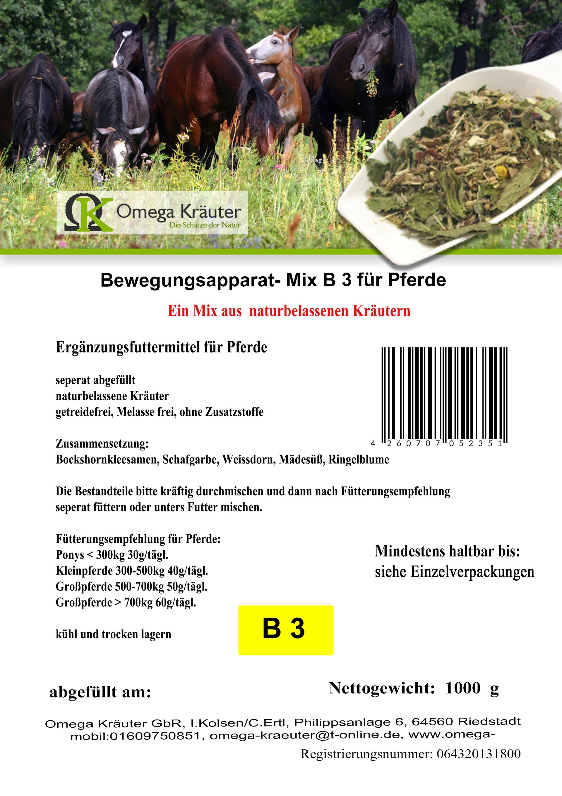 Bewegungsapparat-Box B 3 -  für Pferde