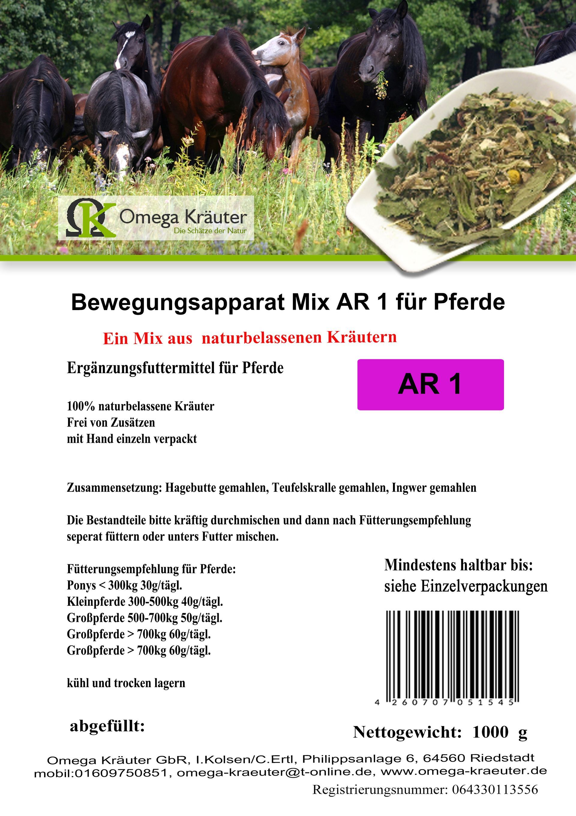 Bewegungsapparat Box AR 1 für Pferde