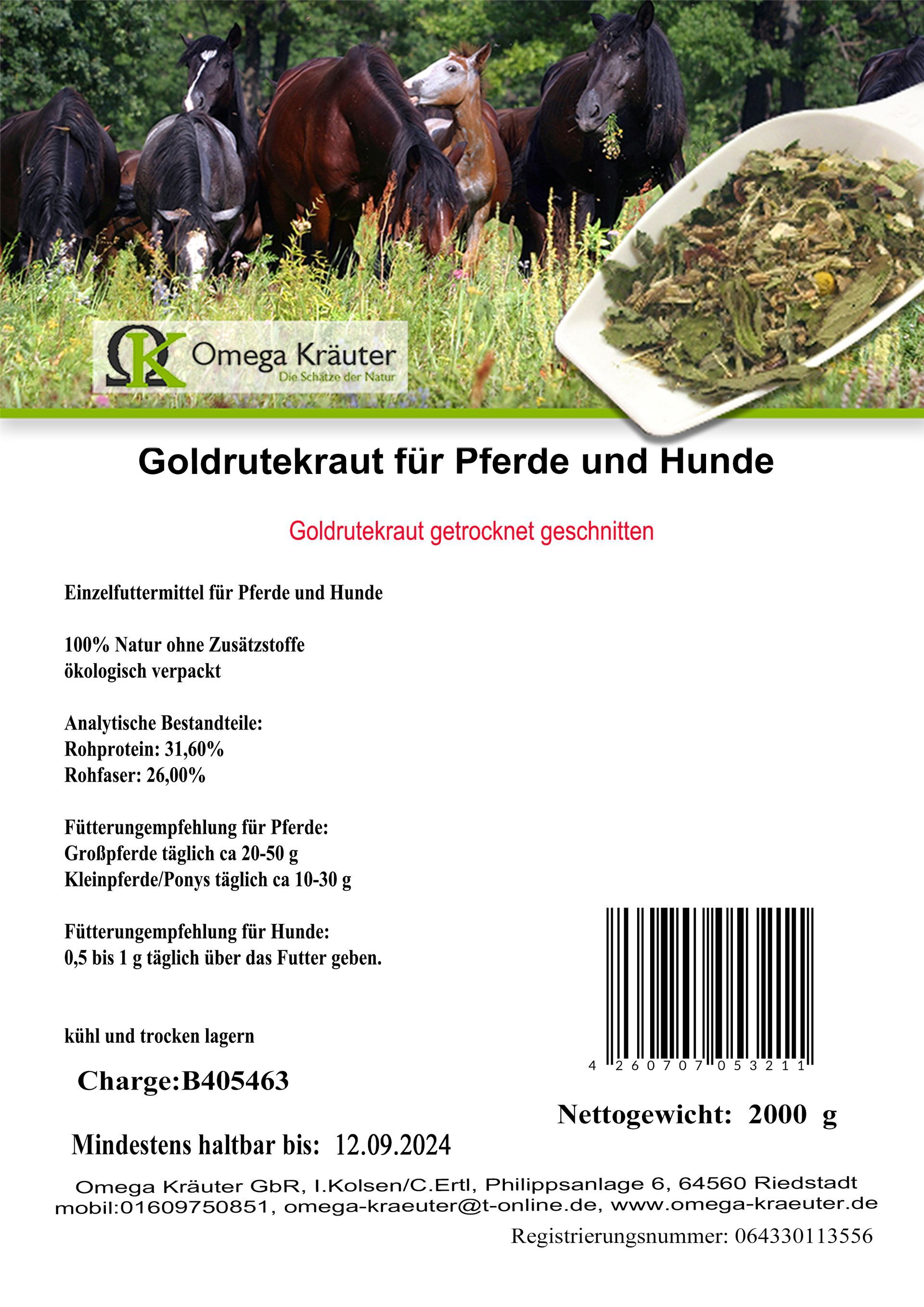 Goldrutekraut für Pferde und Hunde