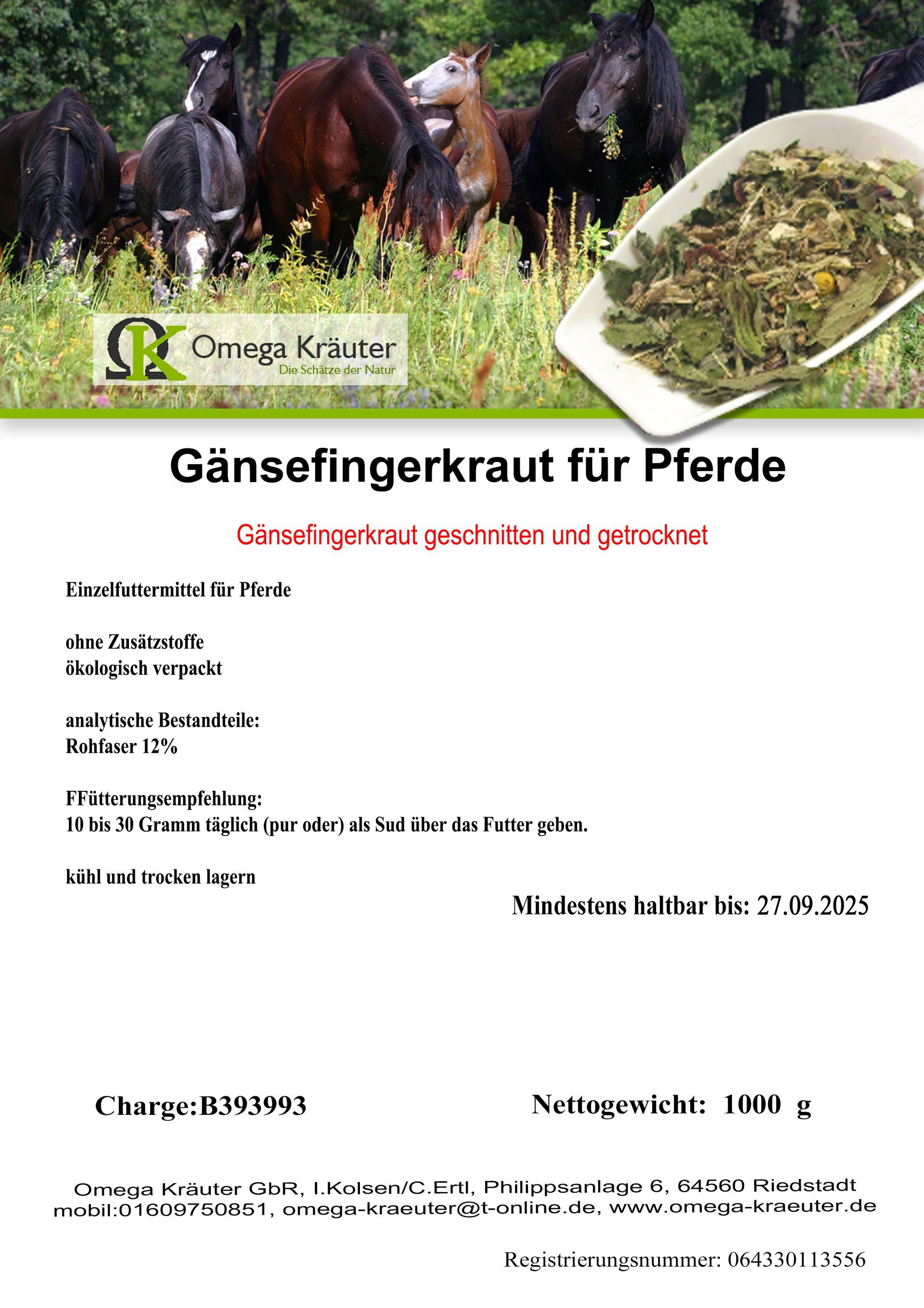 Gänsefingerkraut für Pferde
