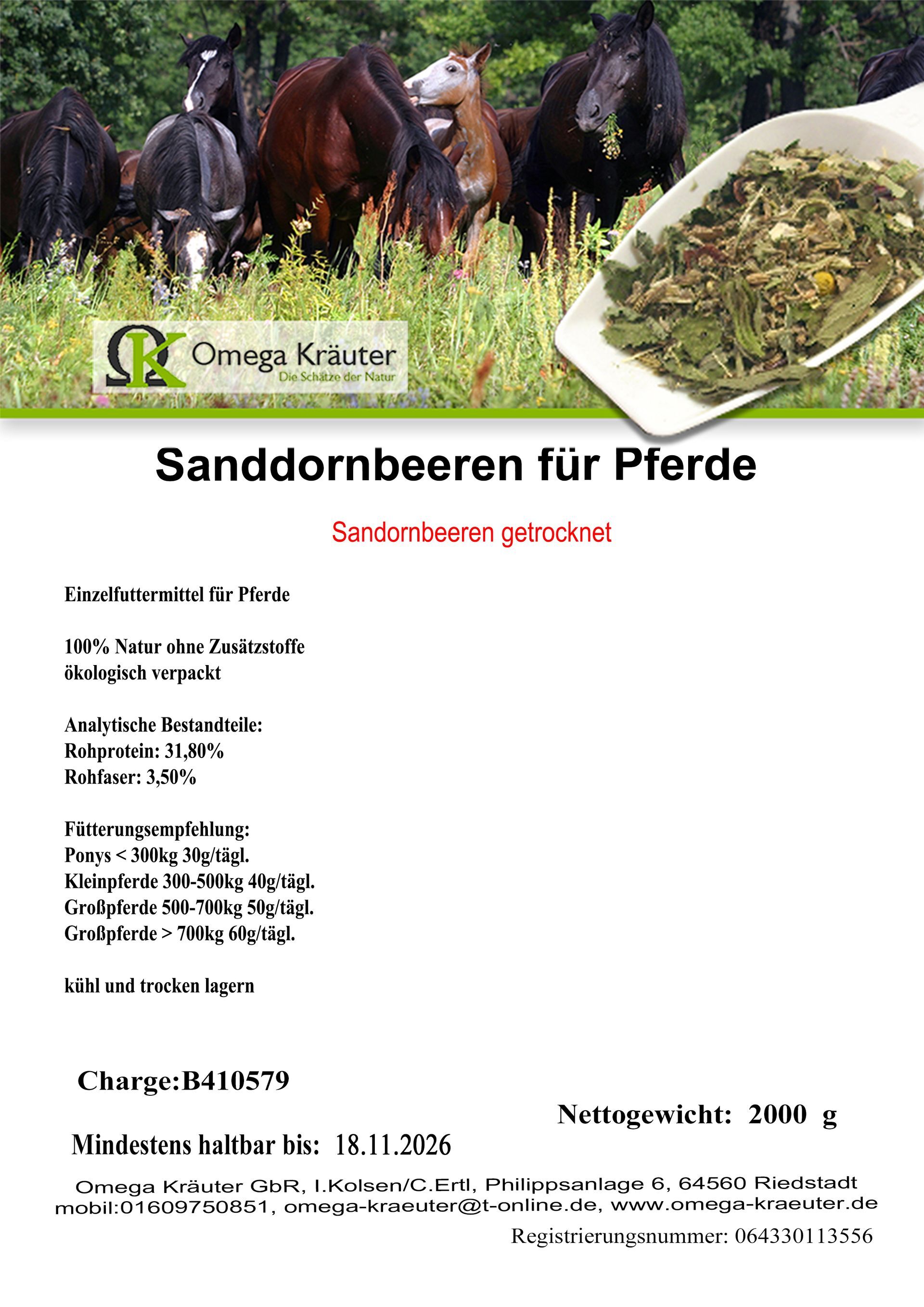 Sanddornbeeren ganz für Pferde