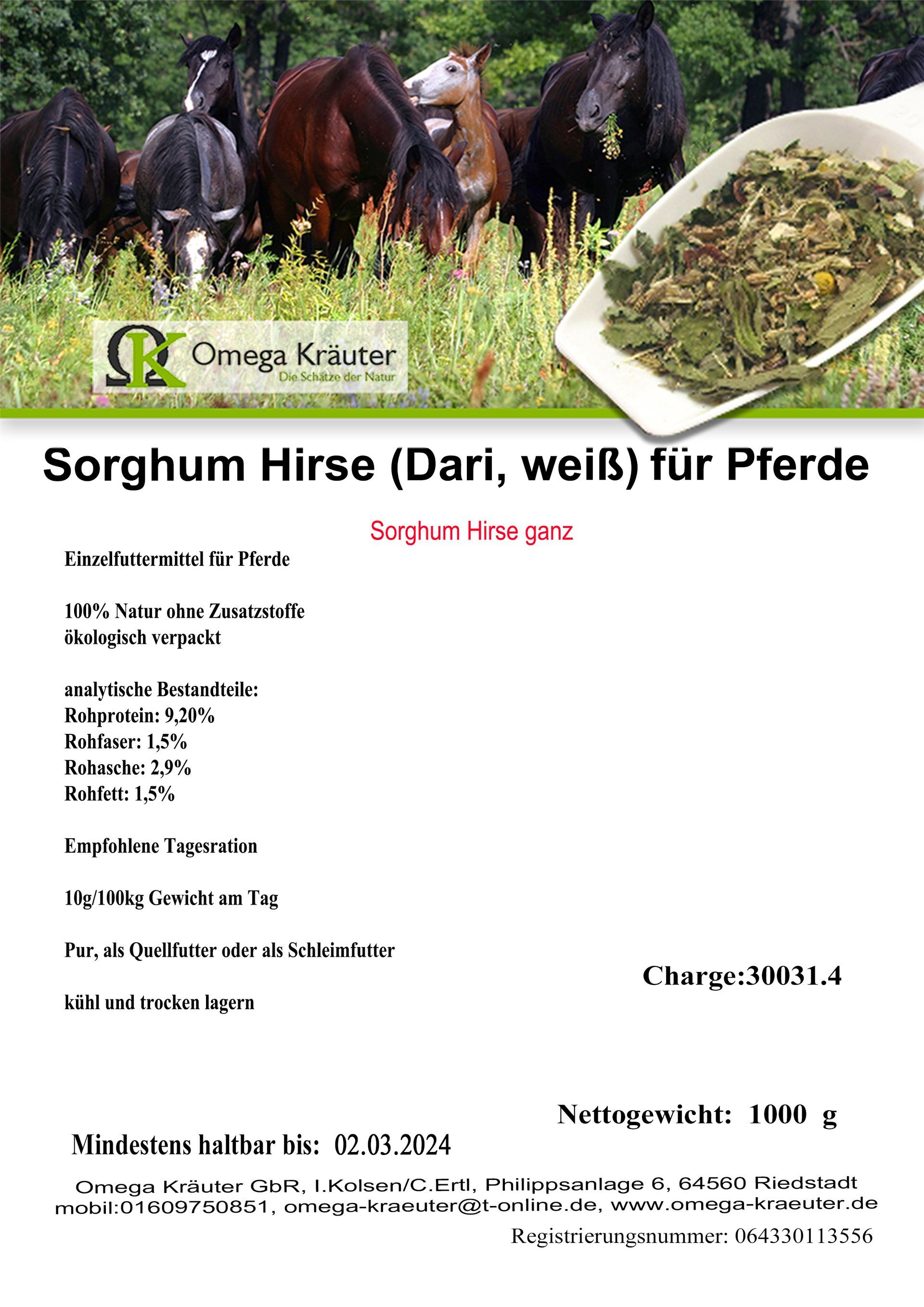 Sorghum Hirse (Dari, weiß) für Pferde