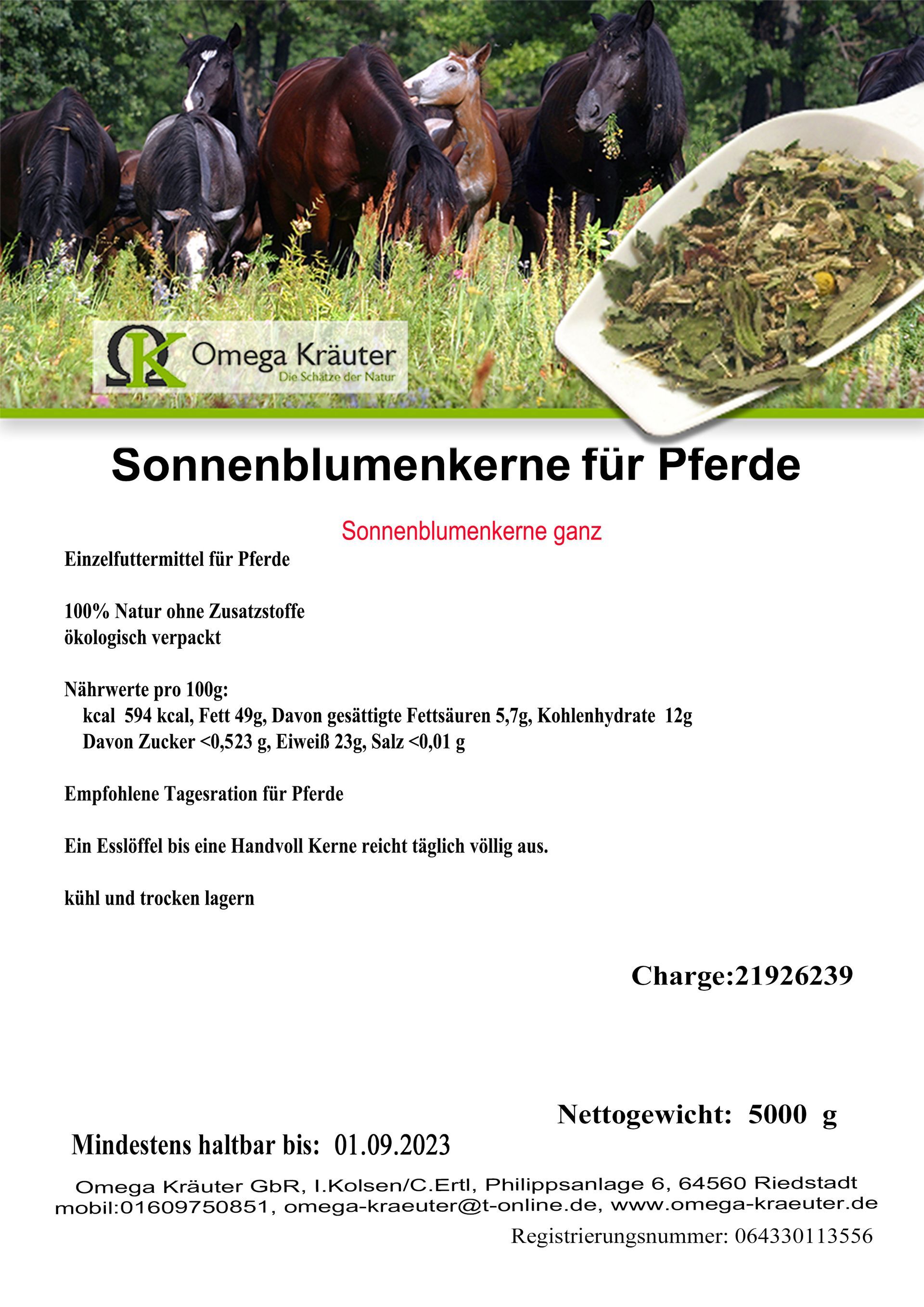 Sonnenblumenkerne weiß ungeschält für Pferde