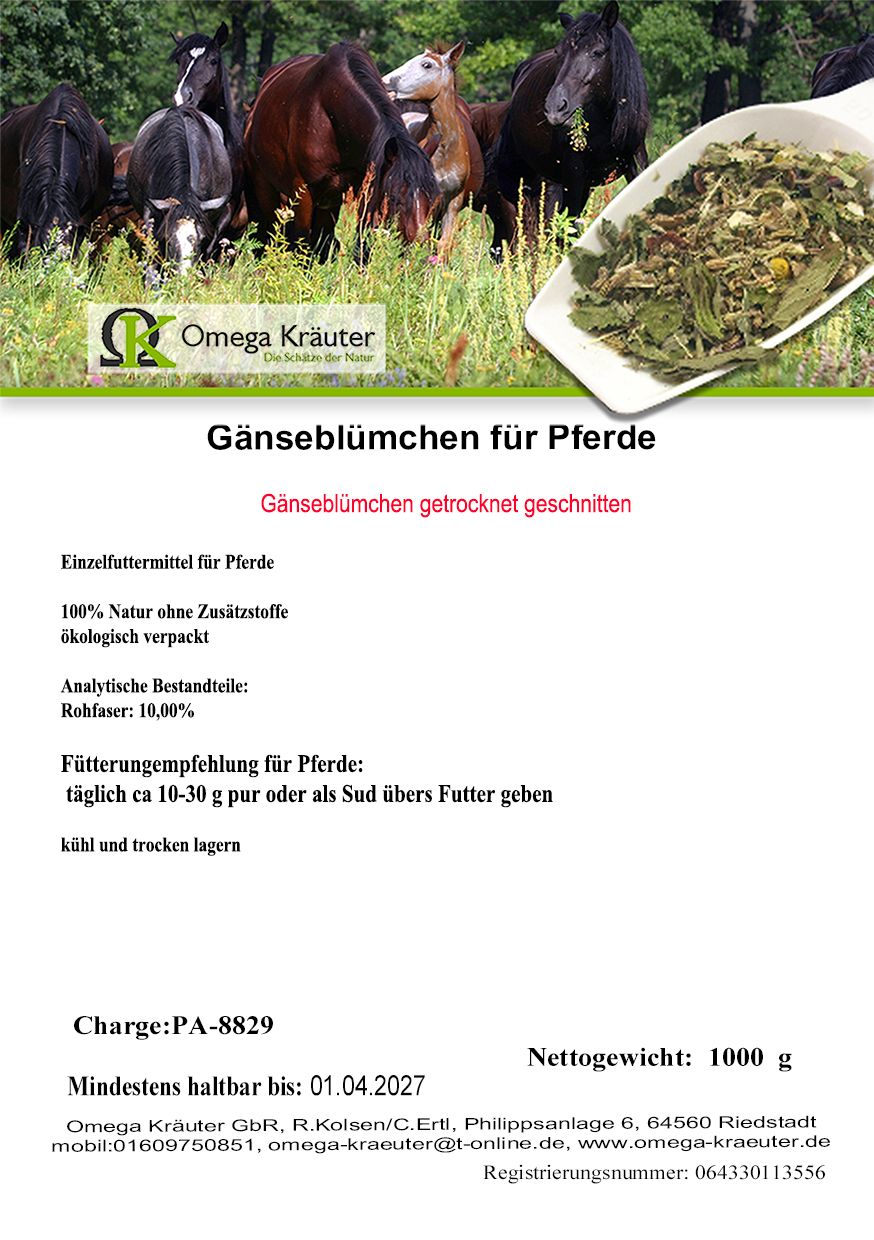 Gänseblümchen für Pferde