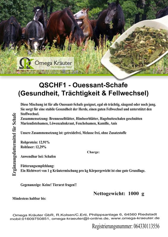 QSCHF1 - Ouessant-Schafe
