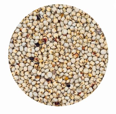 Sorghum Hirse (Dari, weiß) für Pferde Sorghum Hirse (Dari, weiß) für Pferde