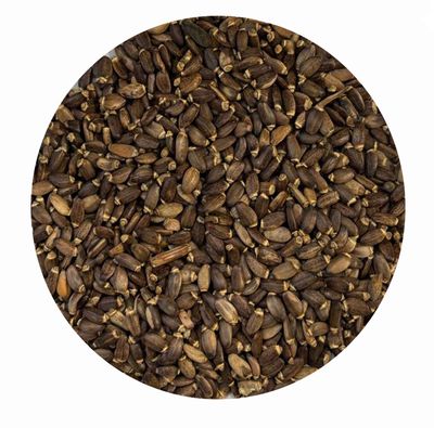 Mariendistelsamen ganz für Pferde Mariendistelsamen ganz für Pferde