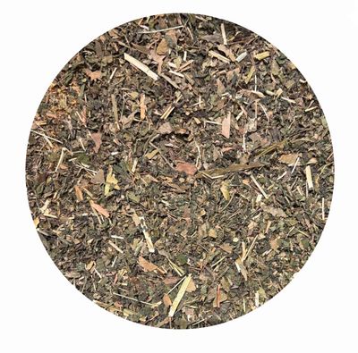 Bewegungsapparat-Box B 4 -  für Pferde