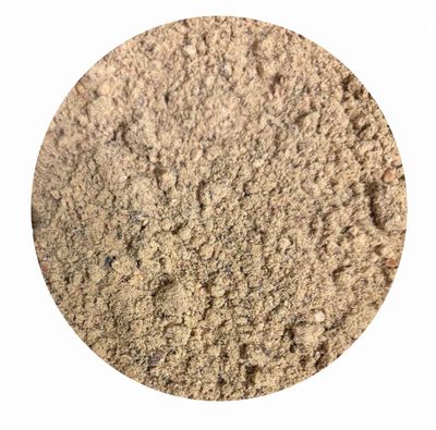 Bewegungsapparat Box AR 1 für Pferde