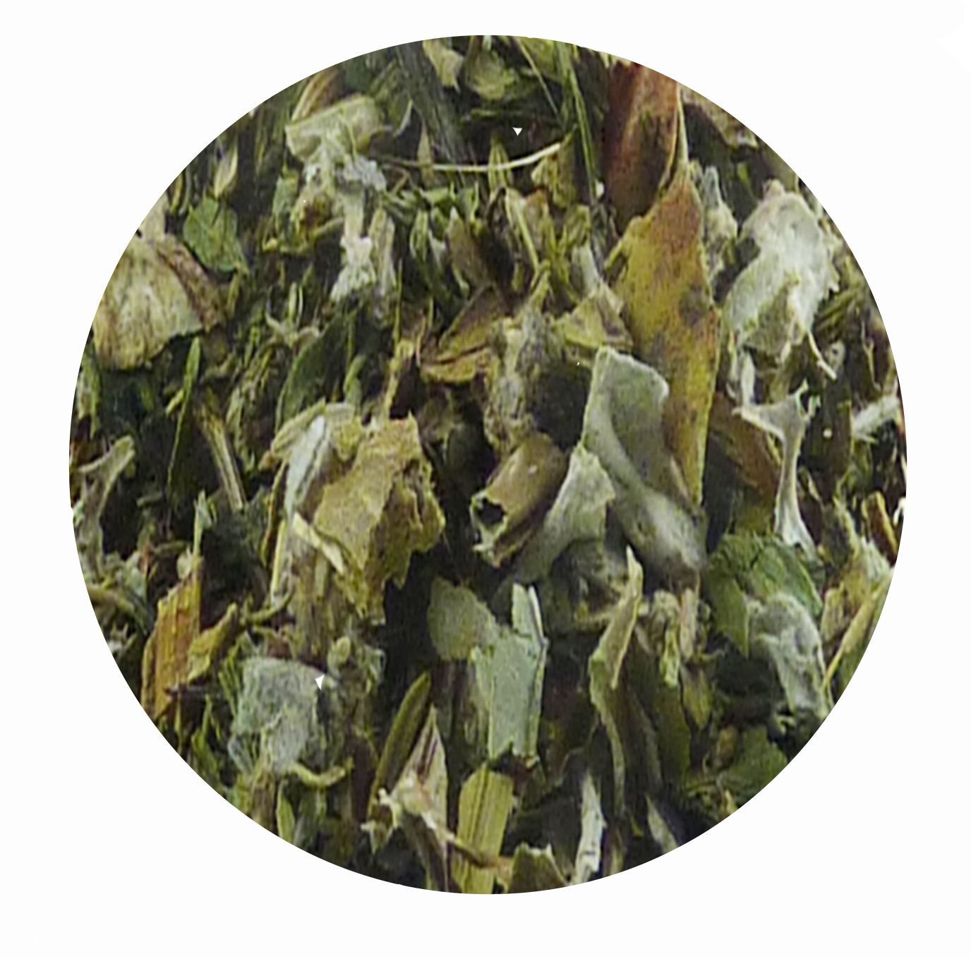 Atemwegs-Box A 3 - für Pferde