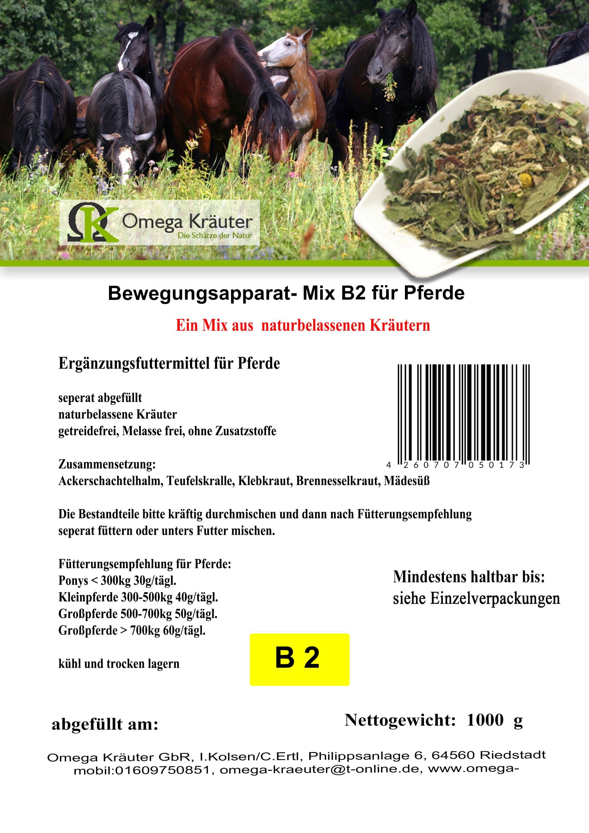 Bewegungsapparat- Box B2 für Pferde