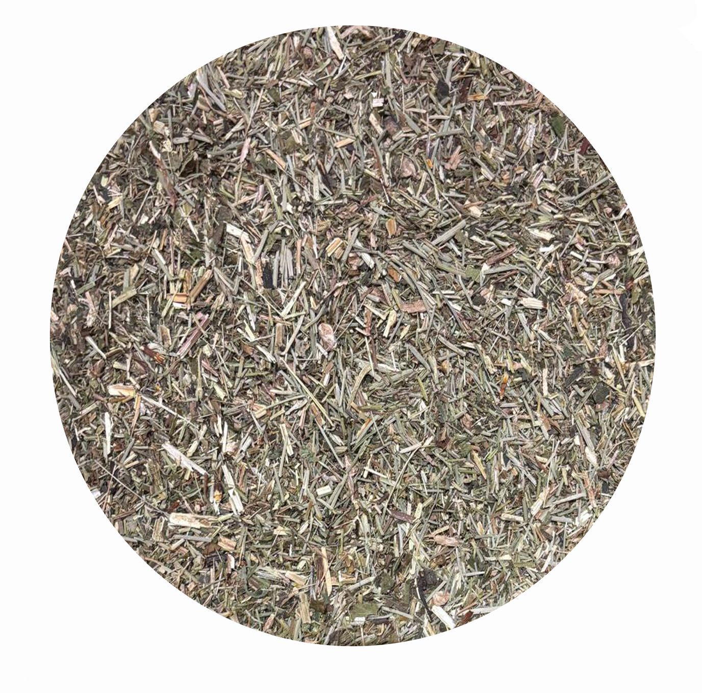 Bewegungsapparat- Box B2 für Pferde