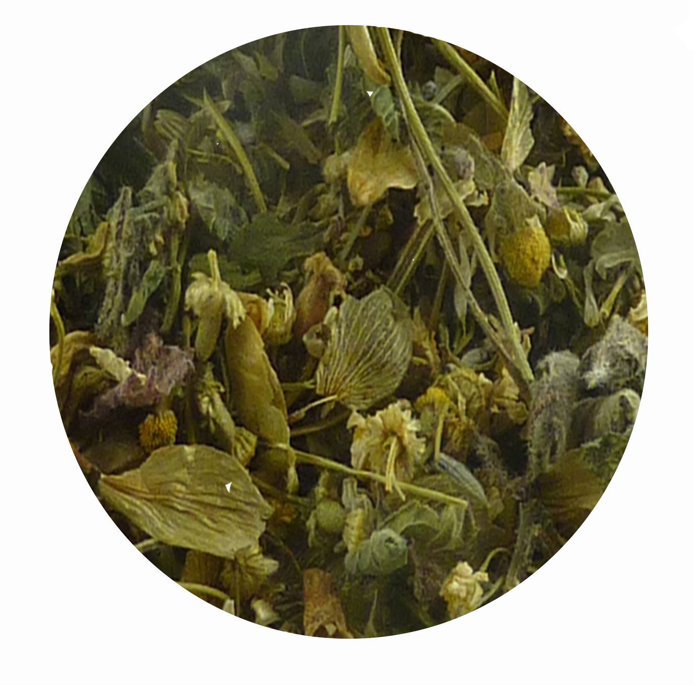 Nerven und Gemüt-Box EX 1 für Pferde