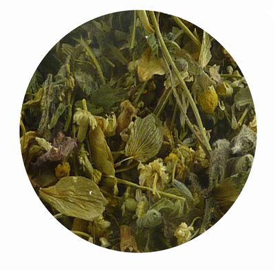 Nerven und Gemüt-Box EX 1 für Pferde