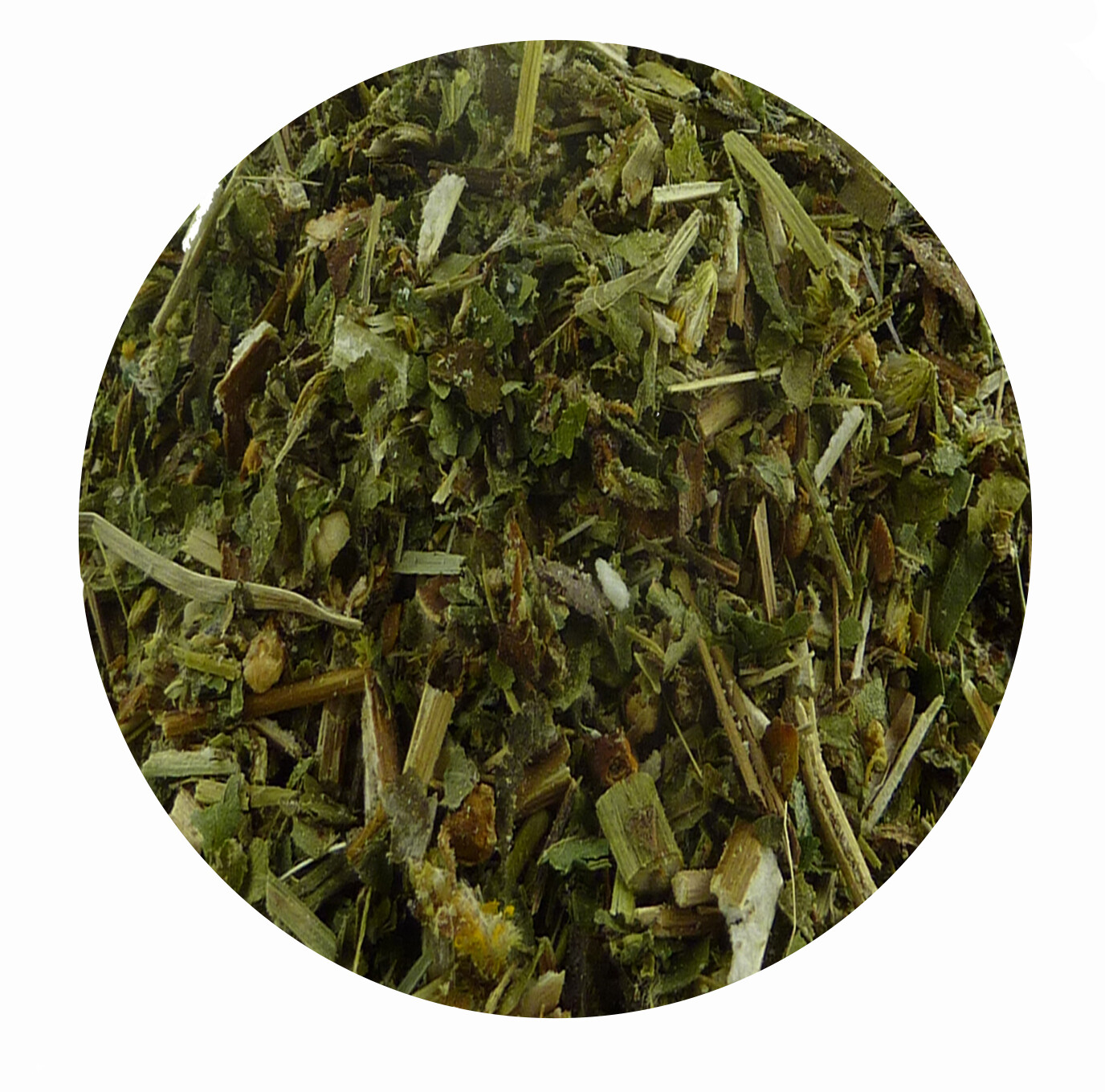 Hufe-Box HU 1  für Pferde