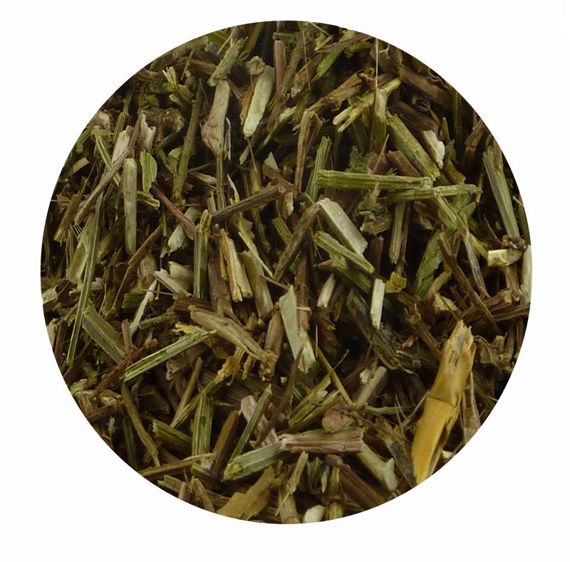 Eisenkraut geschnitten für Pferde