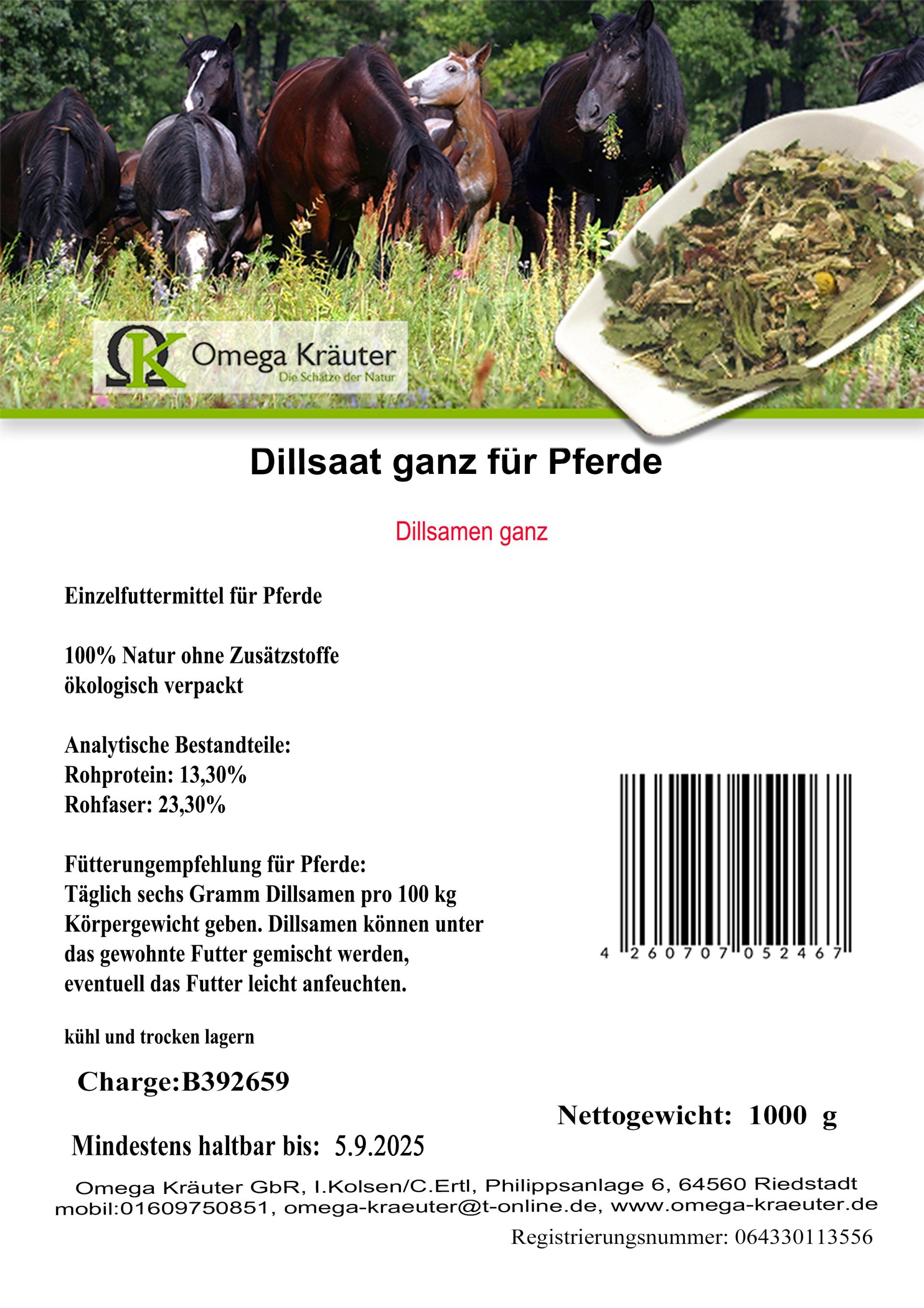 Dillsaat/ Dillsamen ganz für Pferde