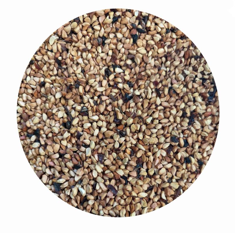 Hagebuttenkerne ganz für Pferde